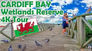 Cardiff Bay Wetlands Reserve Walking Tour 4K | Accessible Travel | CARDIFF WALES UK August 2022