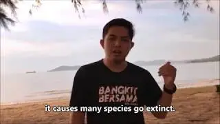 Beach Pollution