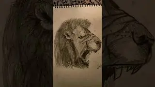 Unleashing the King🔥🦁👑#Insane lion drawing