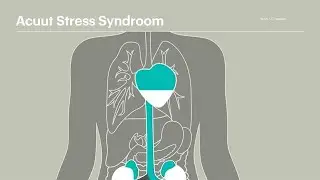 Acuut Stress Syndroom: dit gebeurt er in het lichaam - RTL NIEUWS