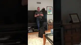 Training a dog while staying Safer At Home during COVID-19