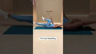 Fix Your Dead Bug