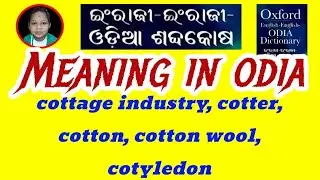 cottage industry, cotter, cotton, cotton wool, cotyledon Meaning In Odia |Class 12th English Grammar