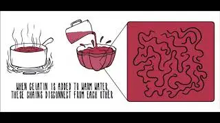 Candyology Day 2 Video 1 The Chemistry of Gelatin 1