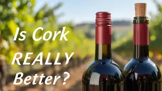 Wine Corks vs. Screw Tops: What Most Wine Drinkers Get Wrong