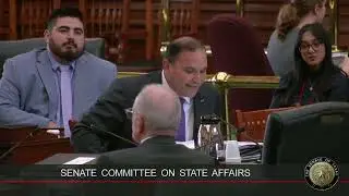 Texas Senate State Affairs Committee Hearing - May 15, 2025 Part 2