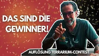 🏆 Die besten TERRARIEN der Community &ndash; SO sieht&rsquo;s aus bei EUCH!