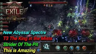 Path of Exile 2: The Third Edict  / New Abyssal Spectre / T3 The King in the Mists / Boss Fight