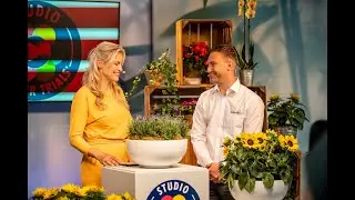 Studio FlowerTrials  2021 - Evanthia On Tour