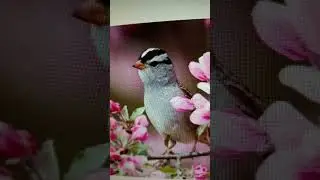 Я хочу тебя... #trending #love #electro #девушка #nature #electrodisco #birds #electrotechno #music