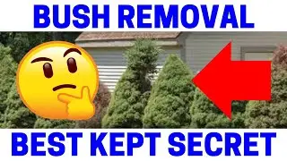 How To Easily Remove A Bush Shrub In Minutes!