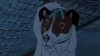 The Plague Dogs 1982