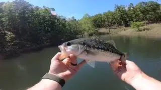 Sougayilang 7.2:1 High Speed Baitcasting Reel Casting Fishing Reel