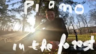 Piano Morning Forest Livestream 🎹🌳