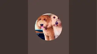 Fluff-n-Stuff is live!