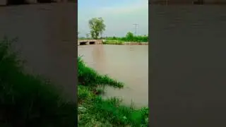 beautiful nehr Wala pull #tractor #india #travel #villagenature #punjabpakistan #naturecat #beautifu
