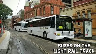 Sydney Trains Vlogs: Buses On The Light Rail Track... Again