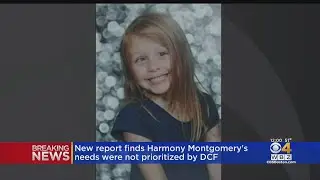 New Harmony Montgomery Report Finds Parents&rsquo; Rights Were Put Ahead Of Missing Girl&rsquo;s Safety