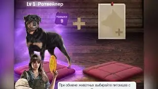 TWD: S - Собаки☺️