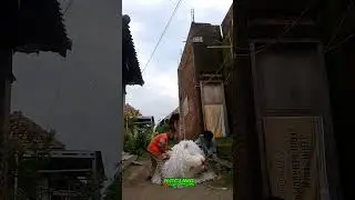 anak kecil lagi mainnan macan-macanan
