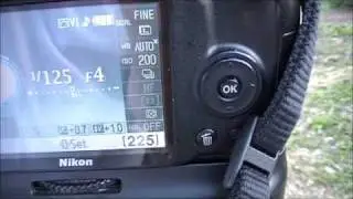 Nikon D3000 Manual Mode Explained