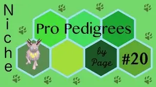 Impulsive Breeding - Pro Pedigrees - Niche (#20)