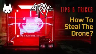 HOW TO STEAL THE DRONE FROM JAIL? | STRAY GAME TIPS AND TRICKS | GAMERS DIGEST