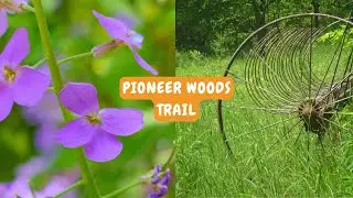 DeLano Trails - Pioneer Woods Trail at the Kalamazoo Nature Center
