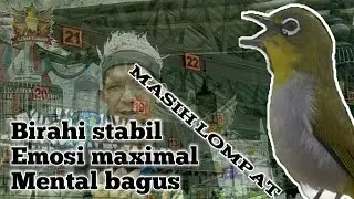 lompat di gantangan - setingan pleci agar nagen di gantangan