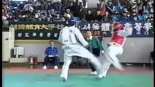 TaeKwonDo WTF Master Andre Lima Kicking