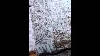 Thought we were done ....