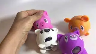 Animal water bead fidget stress balls