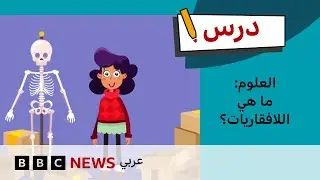 درس العلوم: اللافقاريات وأنواعها - الحلقة 9