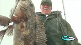 Angler Chronicles | Episode Opener