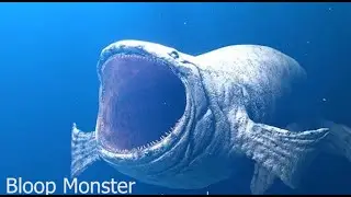 Deep Sea Horror | Giant Ocean Creatures & Scary Monster Sounds