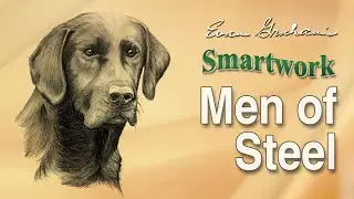 Smartwork: Retired Guns & Marking Concepts