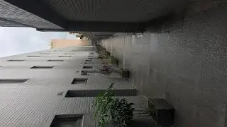 Wutong House, Taichung, Taiwan | Travel With Vanshika