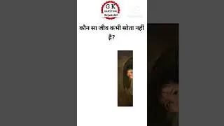 briju gk questions hindi #viral #shorts #video #popular #gk  #viral #question