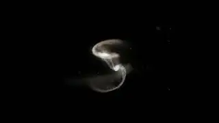 Merging galaxies galore  #galaxies #universe #space #telescope