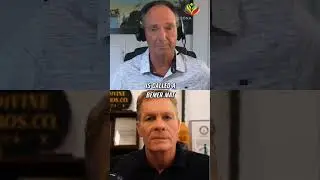 Affordable Healing Revolution: The Vibe Story