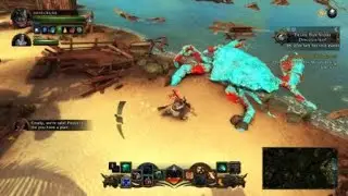 Neverwinter funny moment