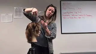 SB Haircut - 90 Degree (Mohawk section)