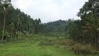 Kerala | Munnar | Part 1| 2018