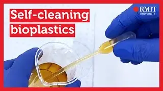 A lotus-inspired bioplastic that&rsquo;s sustainable and compostable | RMIT University