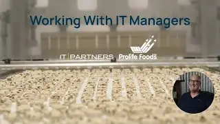 IT Partners X Prolife Case Study | Working With IT Managers