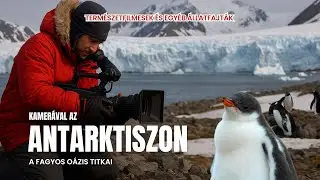 С камерой в Антарктиде &ndash; Секреты замерзшего оазиса