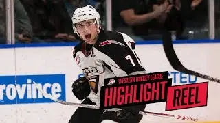 2017-18 HIGHLIGHT REEL | Ty Ronning