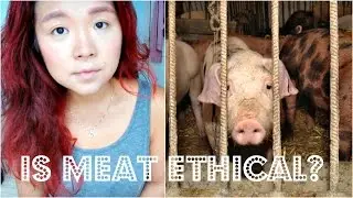IS IT MORAL TO EAT MEAT? | Cheap Lazy Talks