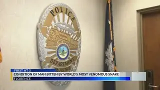 'Substandard living conditions,' dangerous snakes in plastic totes found at apartment of Florence sn