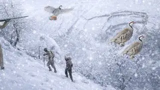 🎯 Snow Mountain Hunt | ❄️ Partridge Shot in Frozen Wilderness 🏔️🔥